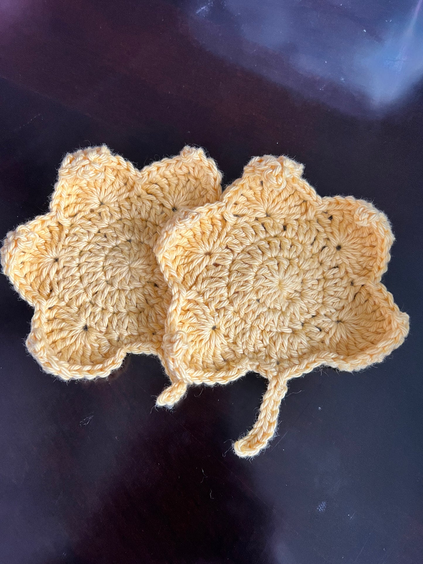 Fall Harvest Coaster Set